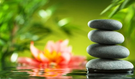 Jaro ve wellness You and Me.