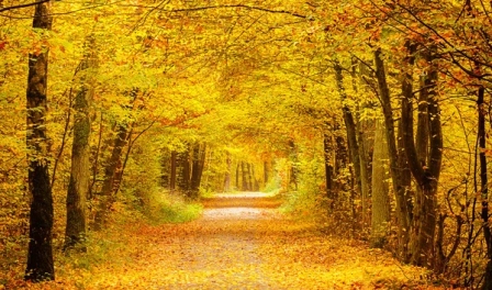 Celý listopad pro Vás máme 15% SLEVU na pobyty od pondělí -čtvrtka. Při rezervaci zadejte slevový kód UPR974