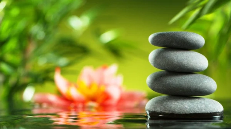 Jaro ve wellness You and Me.