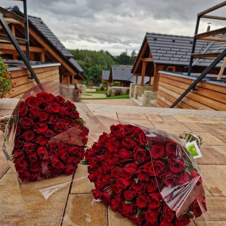 Dokonalý dárek k zasnoubení či výročí